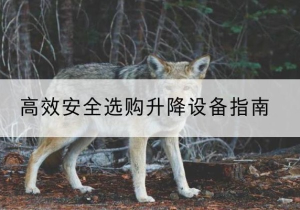 双河升降货梯厂家推荐-*安全选购升降设备指南