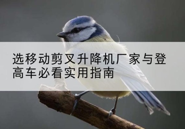 双河电动升降机厂家-选移动剪叉升降机厂家与登高车必看实用指南