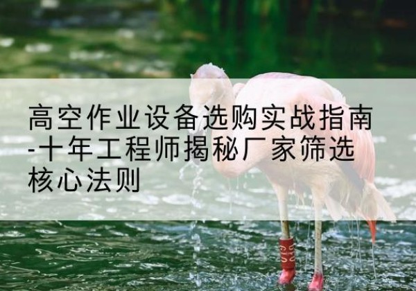 双河剪叉式升降机厂家-高空作业设备选购实战指南-十年工程师揭秘厂家筛选核心法则